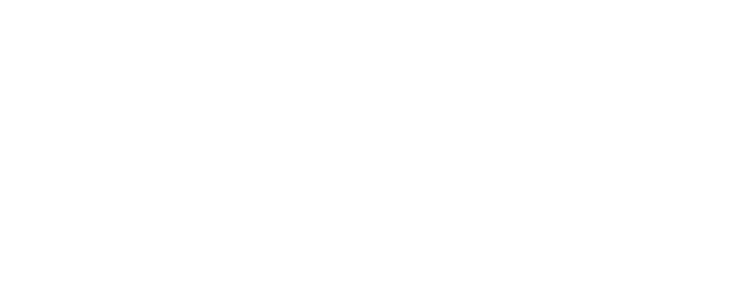 Mediapulse